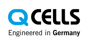 q cells